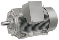 medium voltage electric motors and their specification
